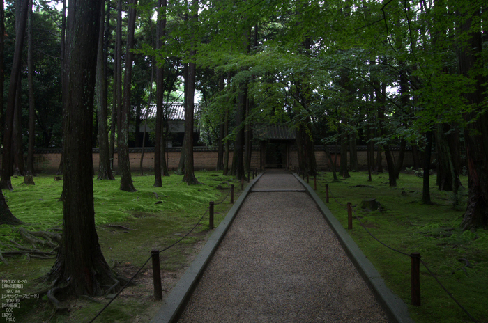 唐招提寺_蓮_2012_yaotomi_お写ん歩_15.jpg