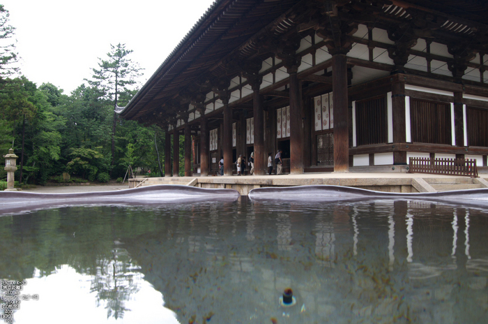 唐招提寺_蓮_2012_yaotomi_お写ん歩_16.jpg