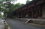 唐招提寺_蓮_2012_yaotomi_お写ん歩_2.jpg