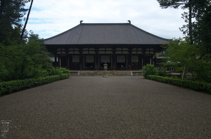 唐招提寺_蓮_2012_yaotomi_お写ん歩_3.jpg