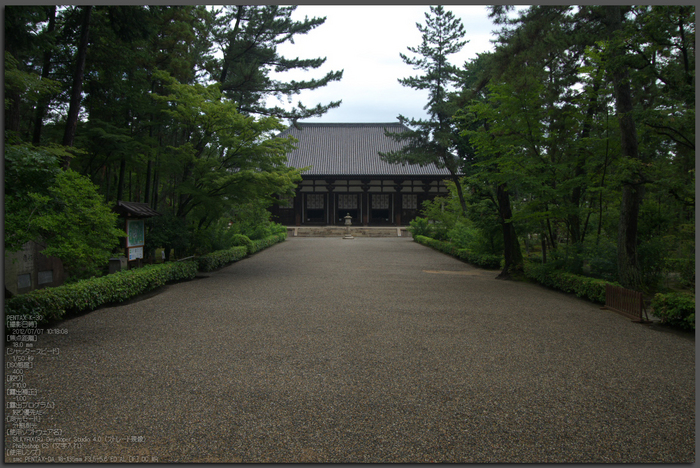 唐招提寺_蓮_2012_yaotomi_お写ん歩_top1.jpg