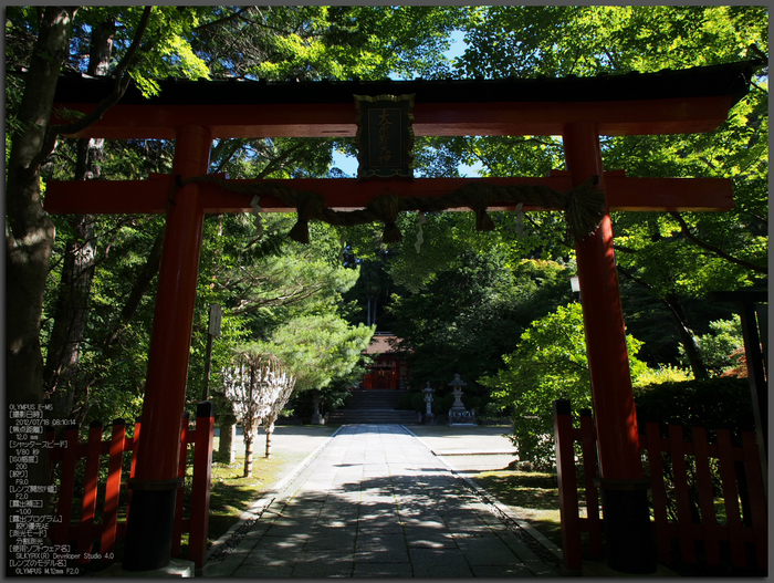 大原野神社_睡蓮_2012_yaotomi_お写ん歩_1.jpg