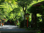 大原野神社_睡蓮_2012_yaotomi_お写ん歩_2full.jpg