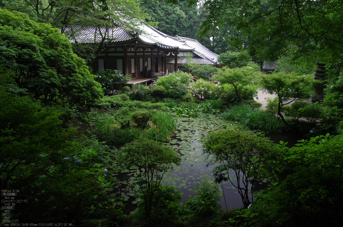 岩船寺_紫陽花_2012_yaotomi_お写ん歩_2.jpg