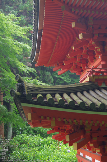 岩船寺_紫陽花_2012_yaotomi_お写ん歩_21.jpg