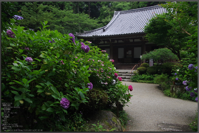 岩船寺_紫陽花_2012_yaotomi_お写ん歩_top1.jpg