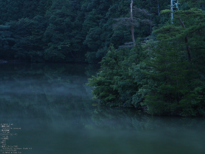 廻り田池の朝_2012_yaotomi_お写ん歩_3.jpg