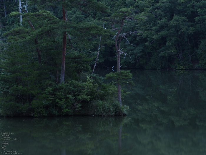 廻り田池の朝_2012_yaotomi_お写ん歩_6.jpg