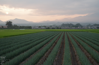 米子平野_伯耆大山_2012_yaotomi_お写ん歩_2.jpg