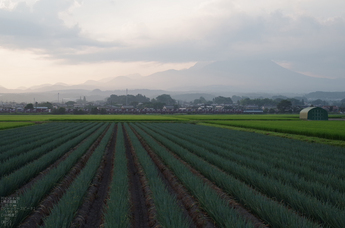 米子平野_伯耆大山_2012_yaotomi_お写ん歩_7.jpg