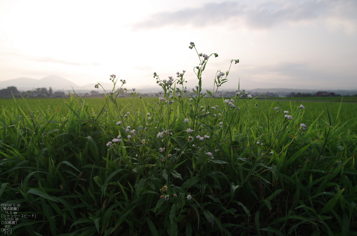 米子平野_伯耆大山_2012_yaotomi_お写ん歩_8.jpg