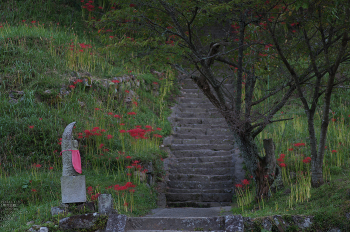 仏隆寺_彼岸花_2012_yaotomi_お写ん歩_11.jpg