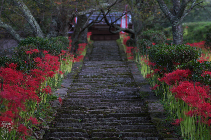 仏隆寺_彼岸花_2012_yaotomi_お写ん歩_2.jpg