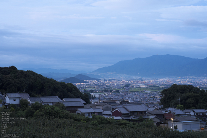 山の辺_秋の香_2012_yaotomi_お写ん歩_6.jpg