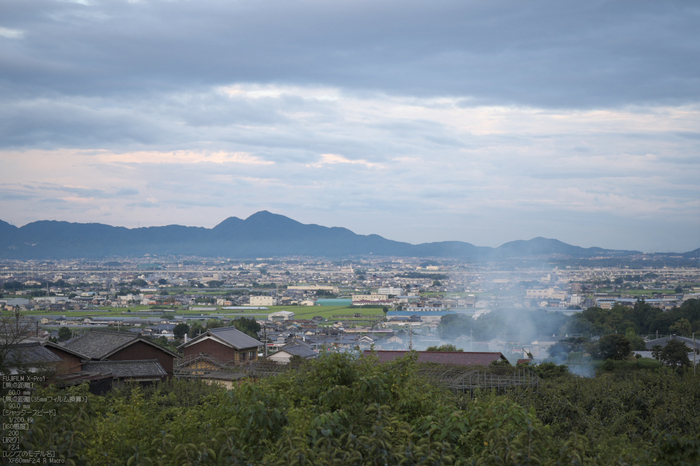 山の辺_秋の香_2012_yaotomi_お写ん歩_7.jpg