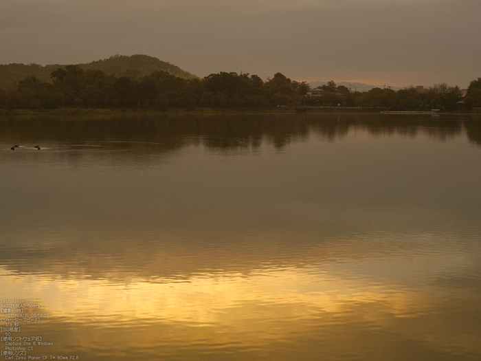 広沢池_2012_leaf_yaotomi_お写ん歩_7.jpg