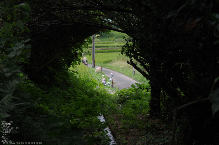 明日香稲渕かかしコンテスト_2012_yaotomi_お写ん歩_3.jpg