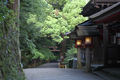 石上神社_2012_yaotomi_お写ん歩_1full.jpg