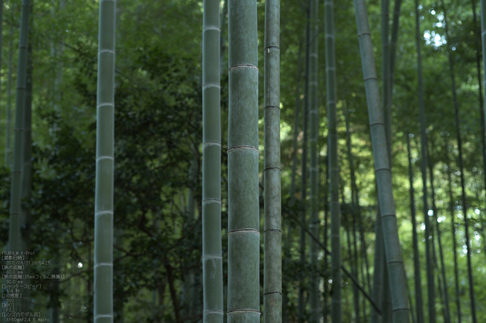 石上神社_2012_yaotomi_お写ん歩_5.jpg