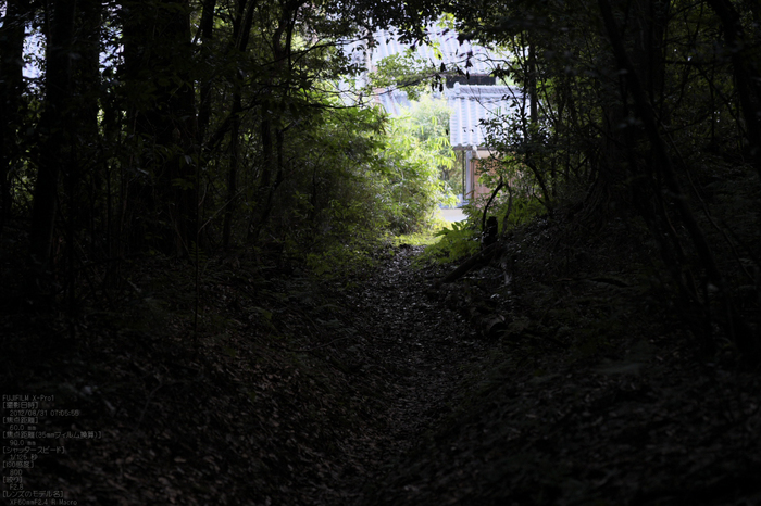 石上神社_2012_yaotomi_お写ん歩_6.jpg