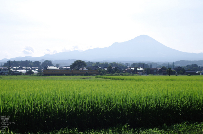 米子平野_田んぼ_2012_yaotomi_お写ん歩_2.jpg