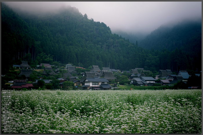 美山_蕎麦_2012_yaotomi_お写ん歩_1.jpg