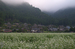 美山_蕎麦_2012_yaotomi_お写ん歩_1a.jpg