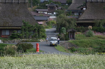 美山_蕎麦_2012_yaotomi_お写ん歩_3s.jpg