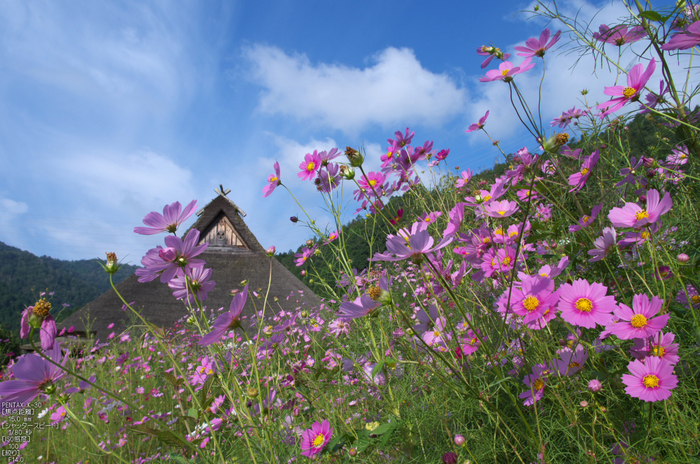 美山_蕎麦_2012_yaotomi_お写ん歩_7.jpg