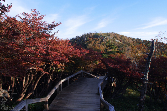 2012大台ケ原紅葉_yaotomi_EPL5_25.jpg