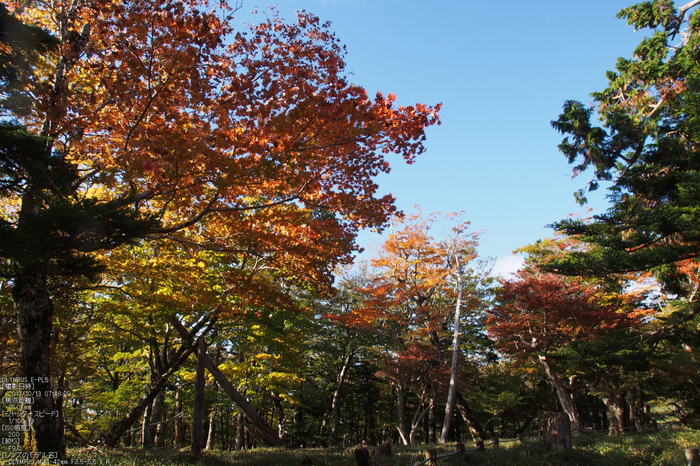 2012大台ケ原紅葉_yaotomi_EPL5_61.jpg