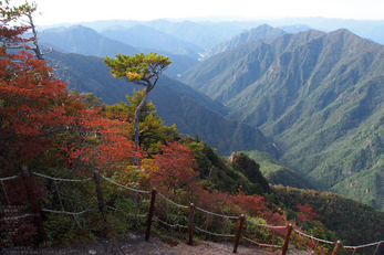 2012大台ケ原紅葉_yaotomi_EPL5_73.jpg