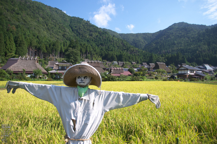 美山_蕎麦_2012_yaotomi_お写ん歩_27.jpg