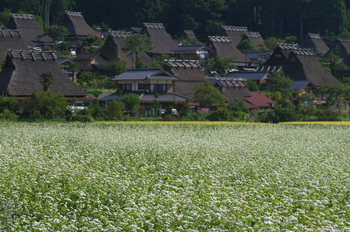 美山_蕎麦_2012_yaotomi_お写ん歩_30.jpg