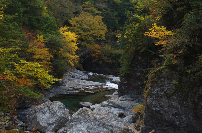 みたらい渓谷紅葉2012_yaotomi_26s.jpg