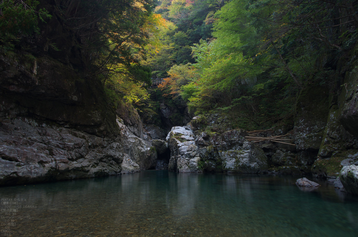 みたらい渓谷紅葉2012_yaotomi_2s.jpg