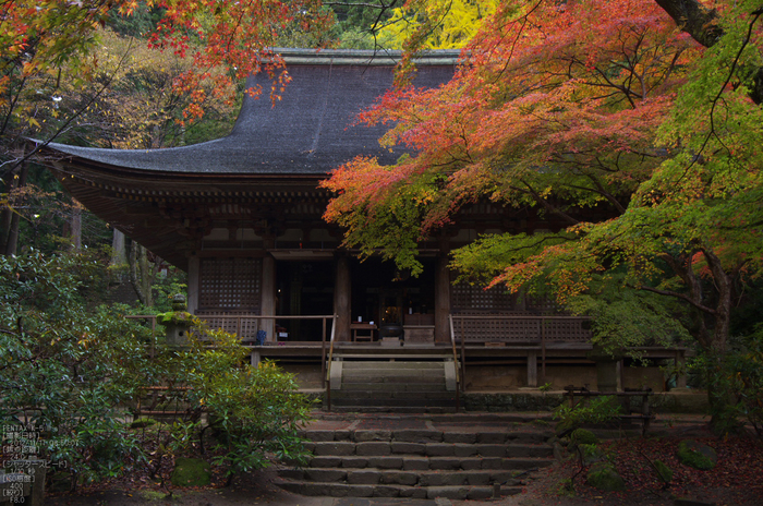 室生寺_紅葉2012_yaotomi_10s.jpg