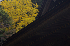 室生寺_紅葉2012_yaotomi_15s.jpg