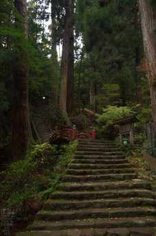 室生寺_紅葉2012_yaotomi_16s.jpg