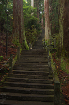 室生寺_紅葉2012_yaotomi_17s.jpg