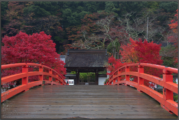 室生寺_紅葉2012_yaotomi_1t.jpg