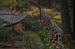 室生寺_紅葉2012_yaotomi_23s.jpg