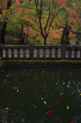 室生寺_紅葉2012_yaotomi_27s.jpg