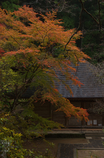 室生寺_紅葉2012_yaotomi_28s.jpg