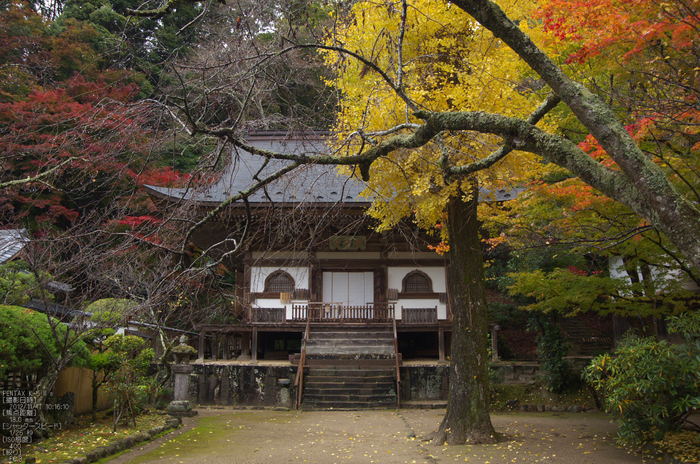 室生寺_紅葉2012_yaotomi_31s.jpg