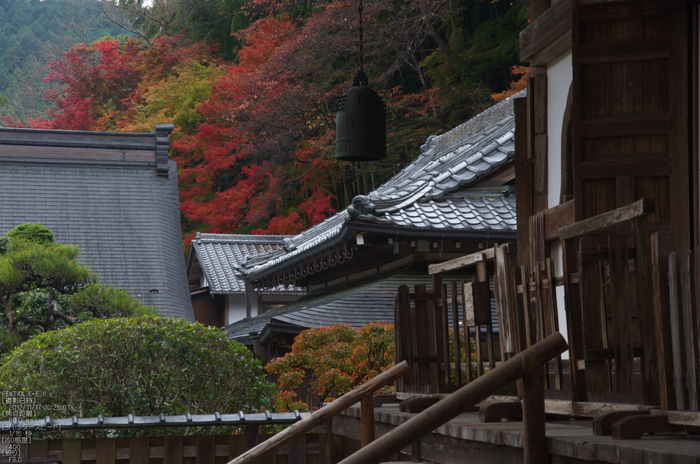 室生寺_紅葉2012_yaotomi_36s.jpg