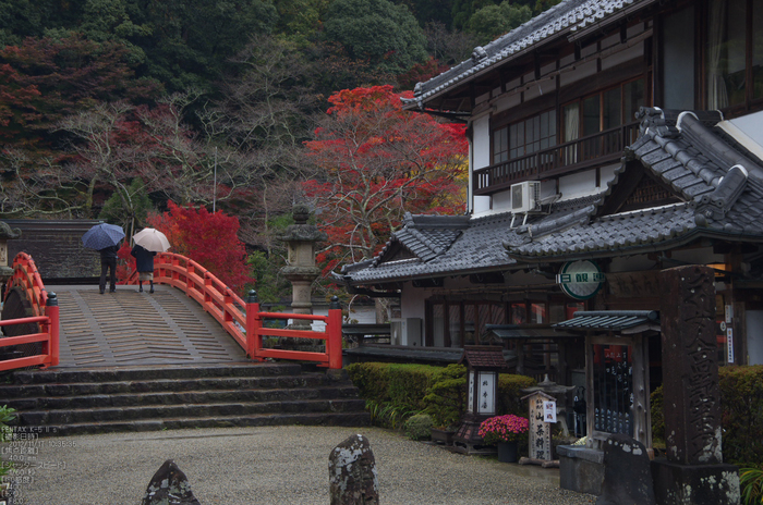 室生寺_紅葉2012_yaotomi_50s.jpg