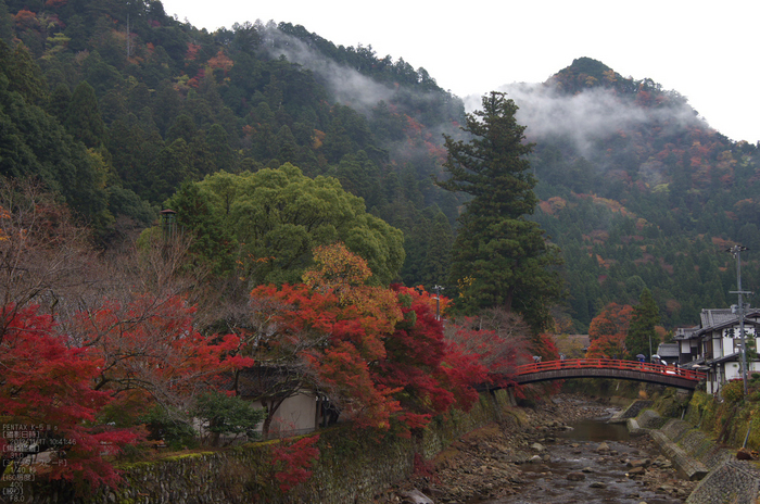 室生寺_紅葉2012_yaotomi_51s.jpg