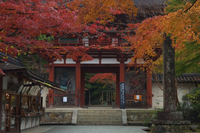 室生寺_紅葉2012_yaotomi_5s.jpg