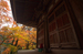 室生寺紅葉(2)_2012yaotomi_15.jpg